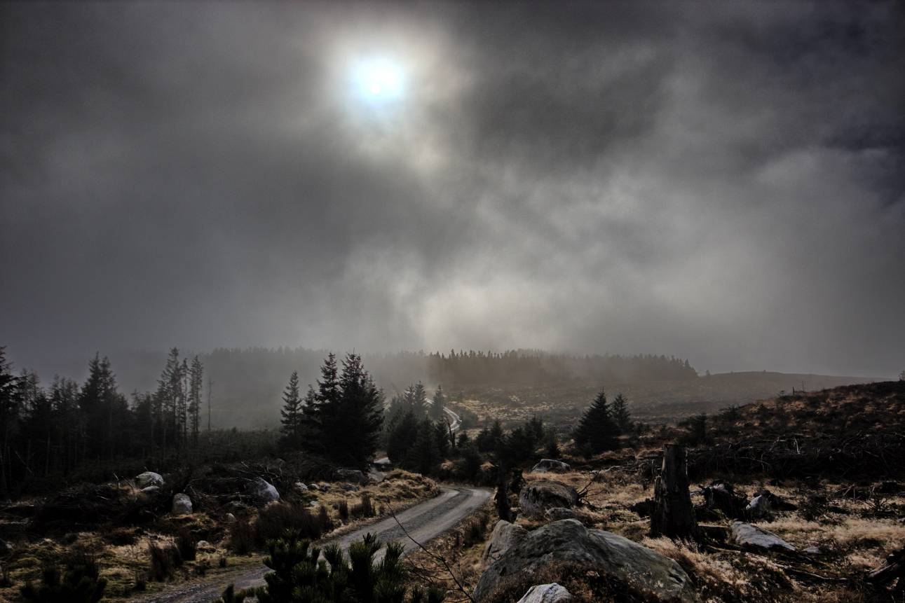 Wicklow Mountains